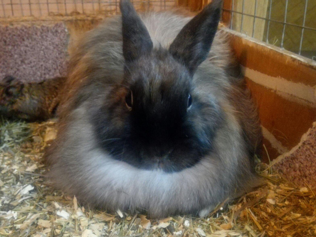 Touching Zoo A Pogladit Mozhno?-莫斯科必去景点