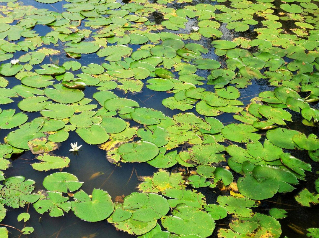 Pedra do Rodeadouro-Bonito必去景点