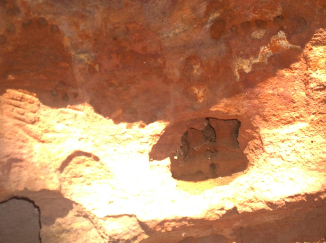 Museu Benedito José Teles-Crato必去景点