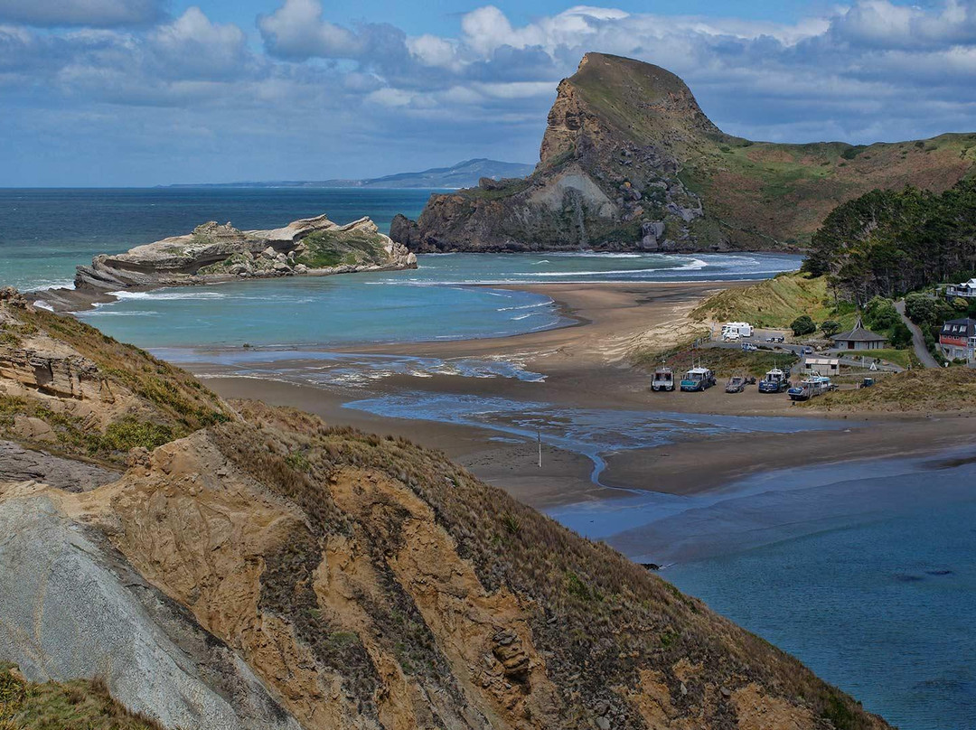 Castlepoint旅游攻略图片