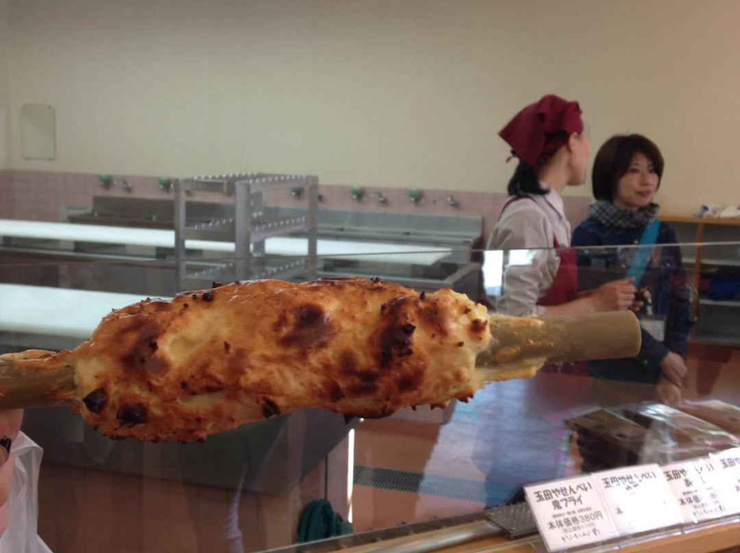 Seiryu Chaya Kawahara Michi-no-Eki-鸟取市必去景点