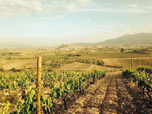 Bodegas Castillo de Mendoza景点图片