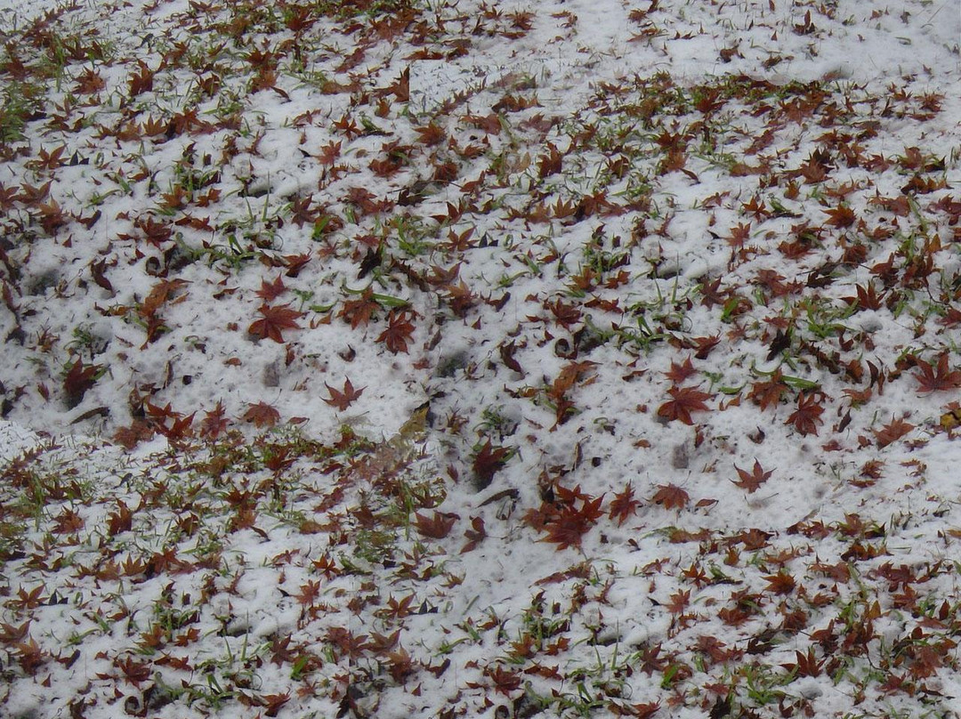 Banwolseong Fortress-庆州市必去景点