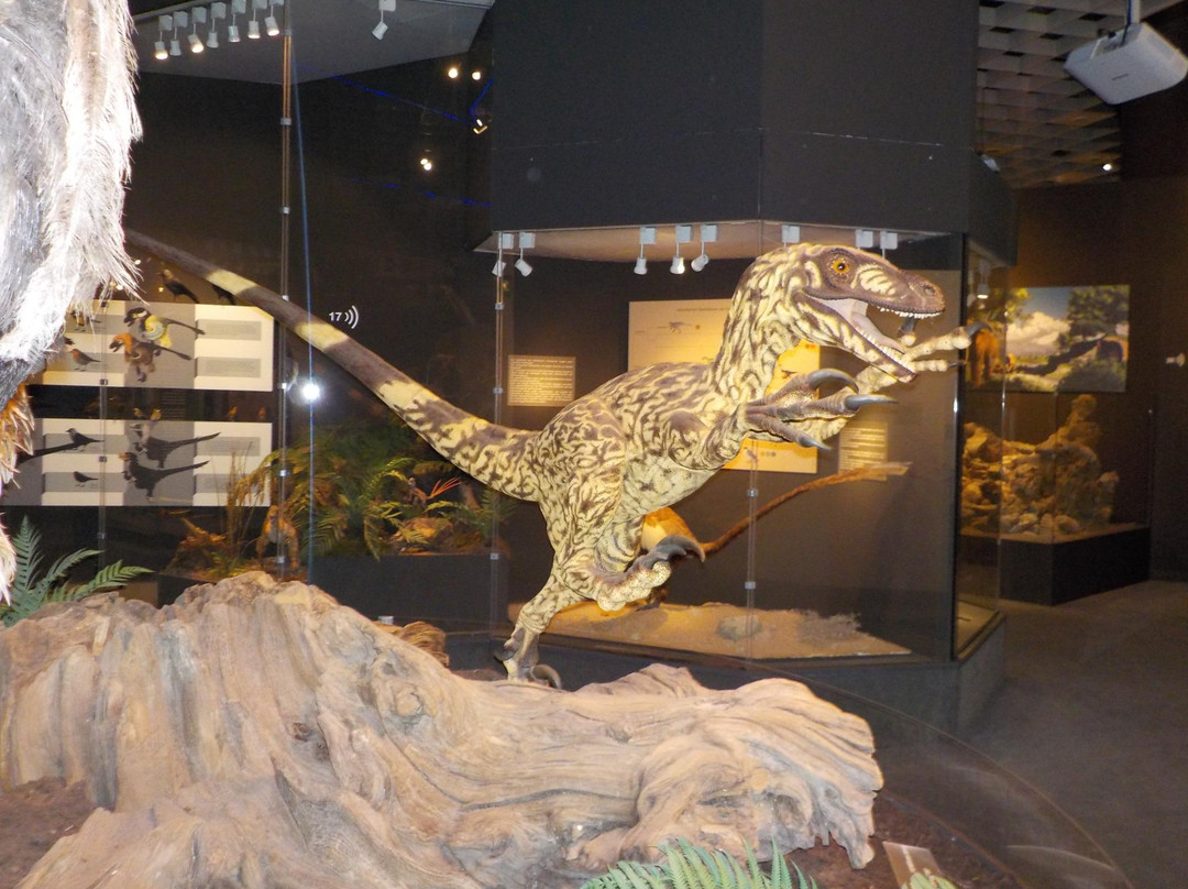 Lwl-museum Of Natural History景点图片