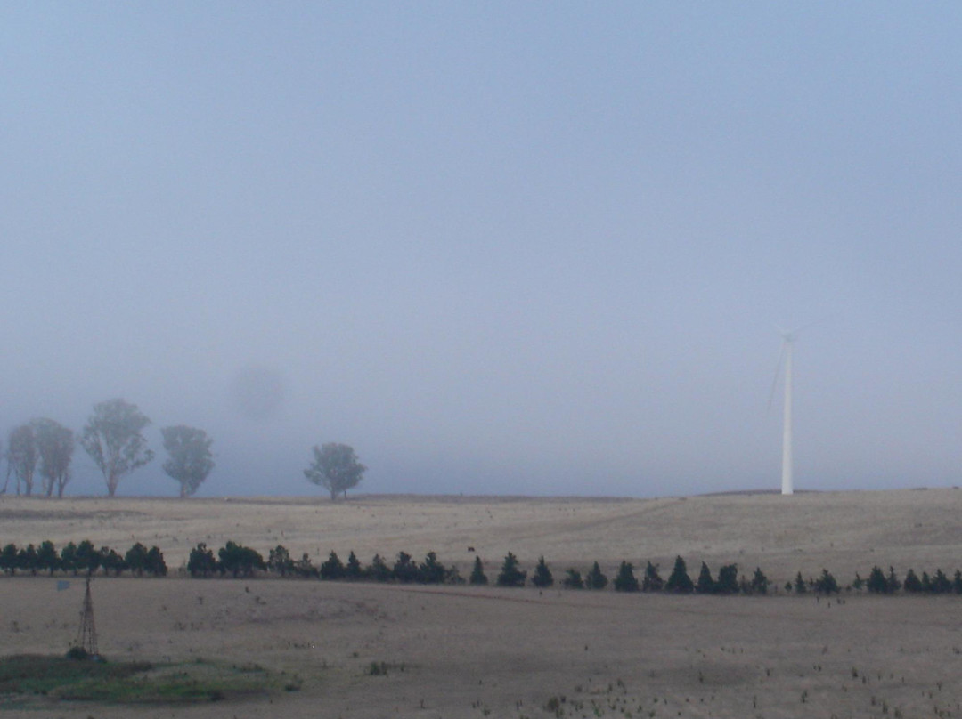Crookwell Wind Farm-Crookwell必去景点
