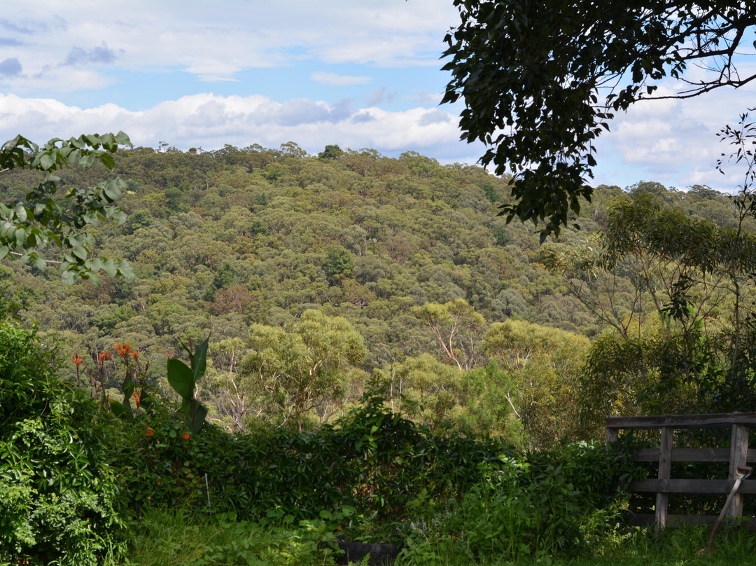 Blue Mountains Massage and Spa景点图片