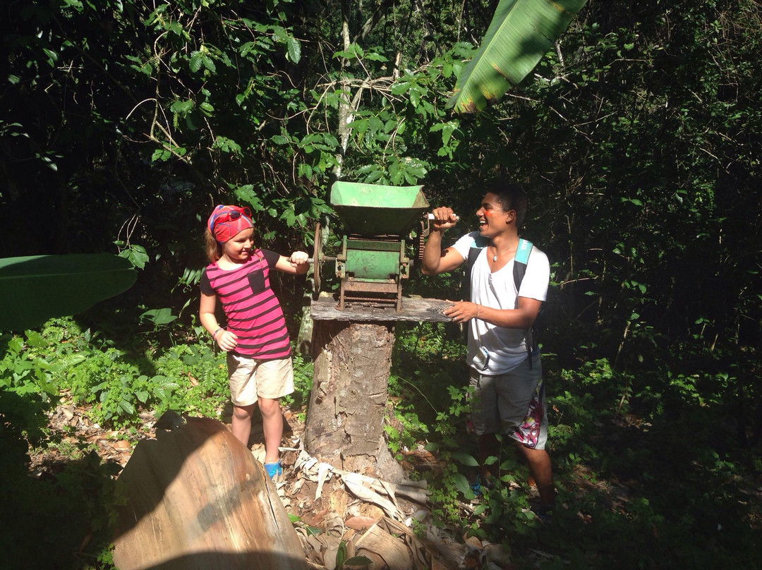 San Rafael Surf School y Eco-Tours景点图片