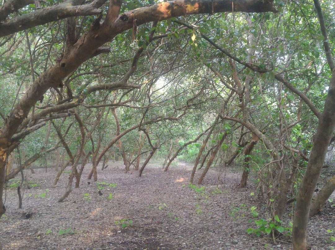 Pulau Dua Nature Reserve-西冷必去景点