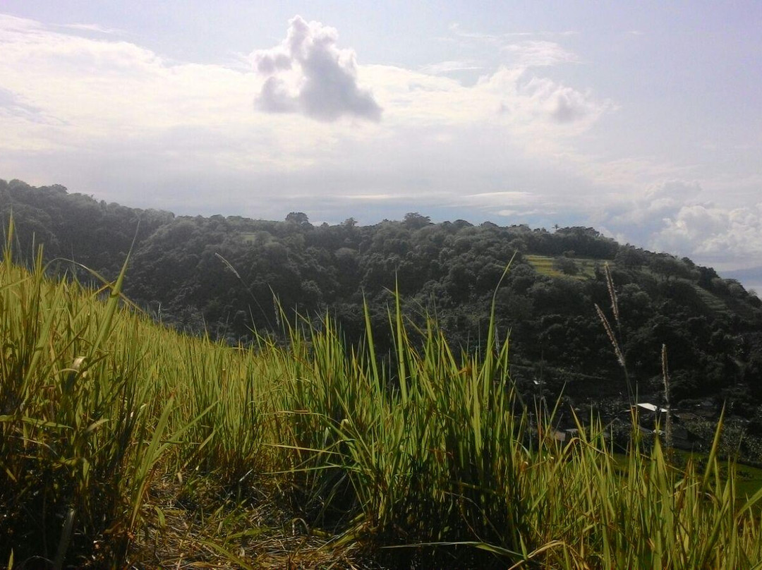 Bukit Belong景点图片