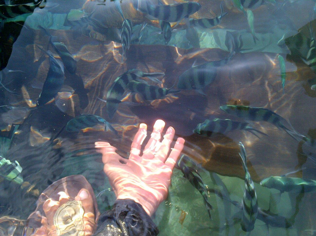 Sawinggrai Village-索龙必去景点