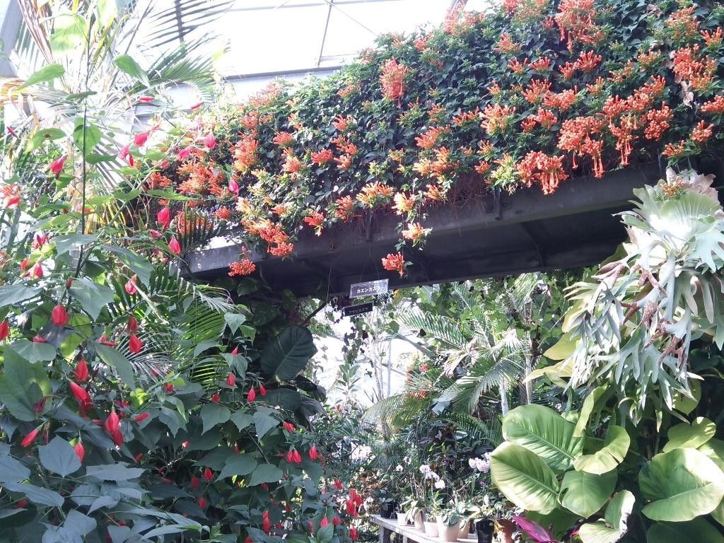 Shimonoseki Gardening Center-下关市必去景点
