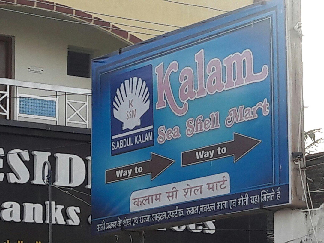 Kalam Sea Shell Mart景点图片