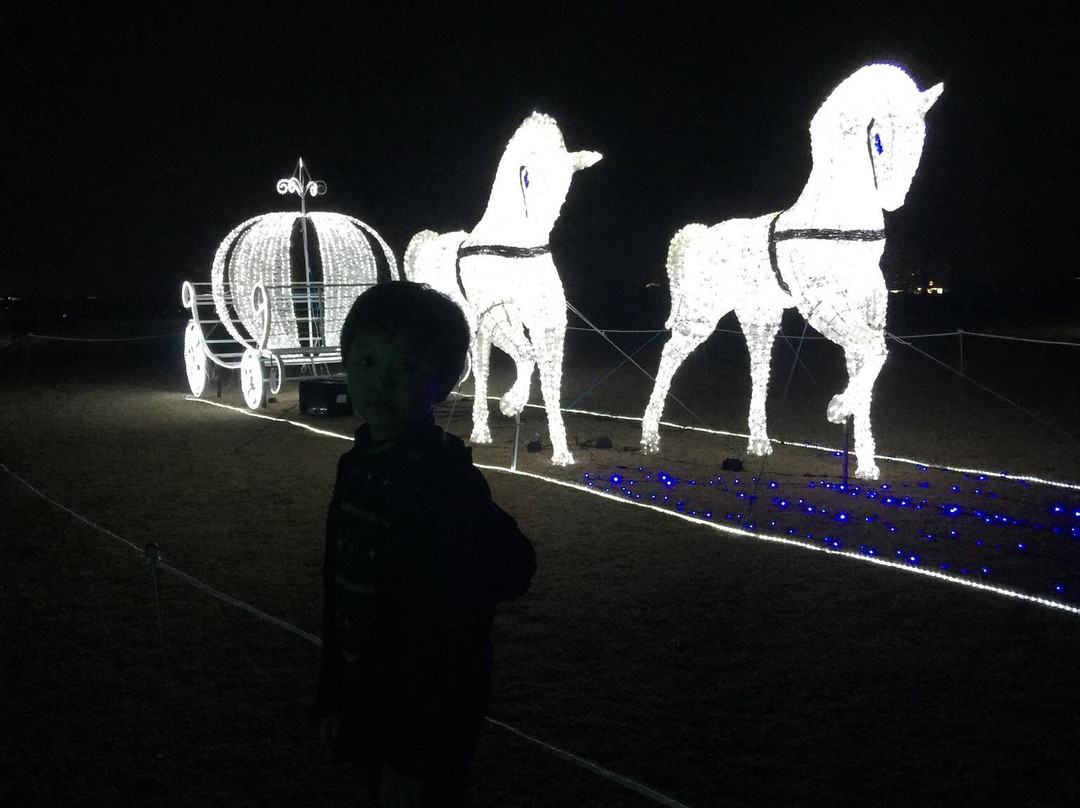 Ota Illumination-太田市必去景点