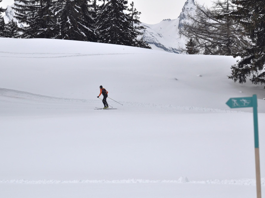 Ski de fond / Cross Country景点图片