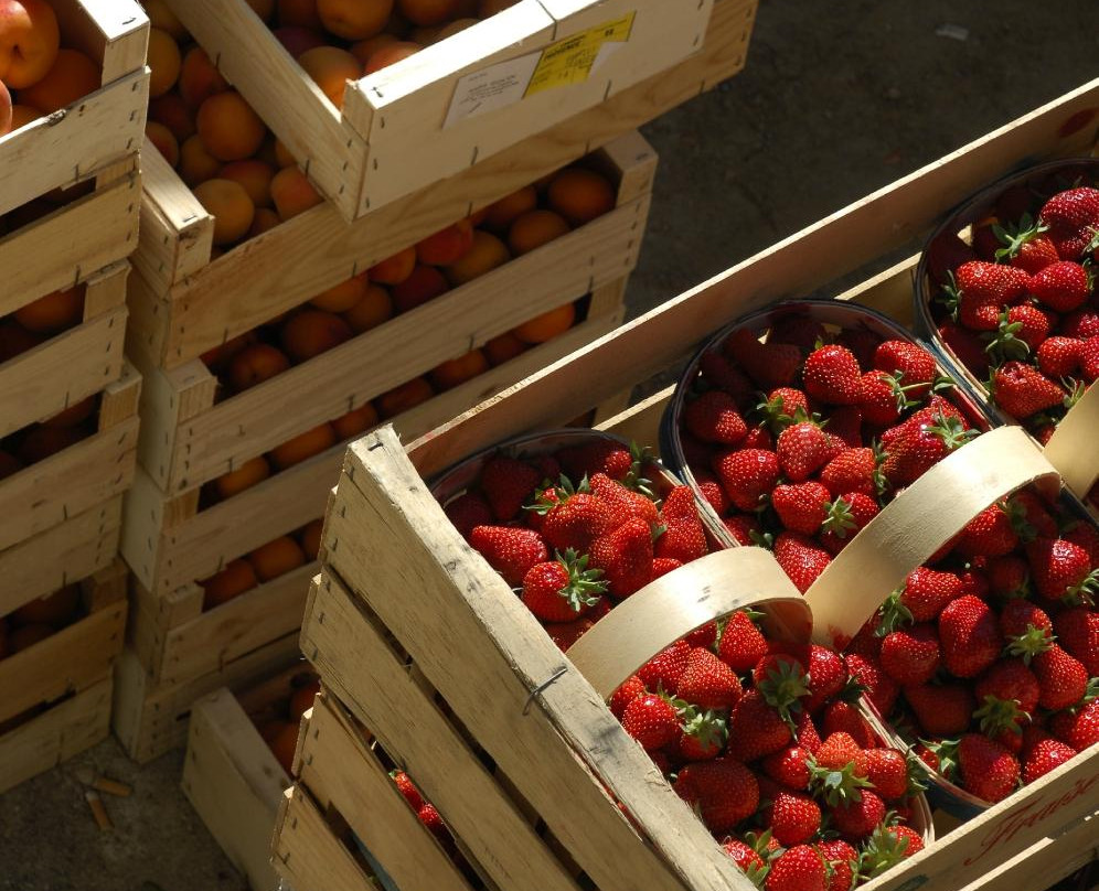 Marché Provençal-Cogolin必去景点