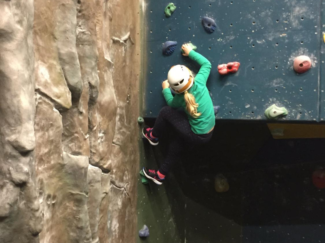 Yellow Spider Climbing景点图片