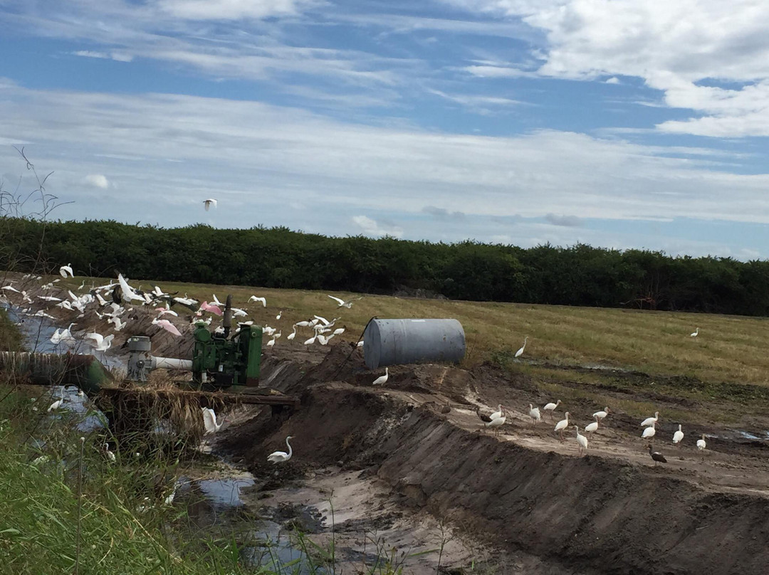 Orange Jeep Tours-Ave Maria必去景点