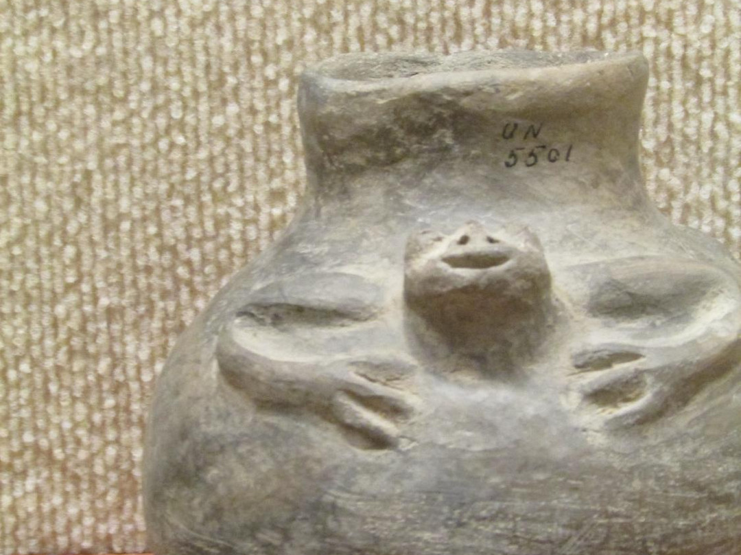 Hampson Archeological Museum State Park景点图片
