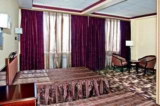 艾菲柔酒店-客卧