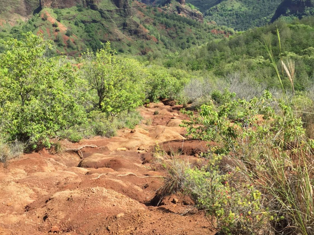 Kukui Trail-威美亚必去景点