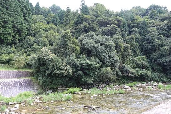 Nibukawa Valley景点图片
