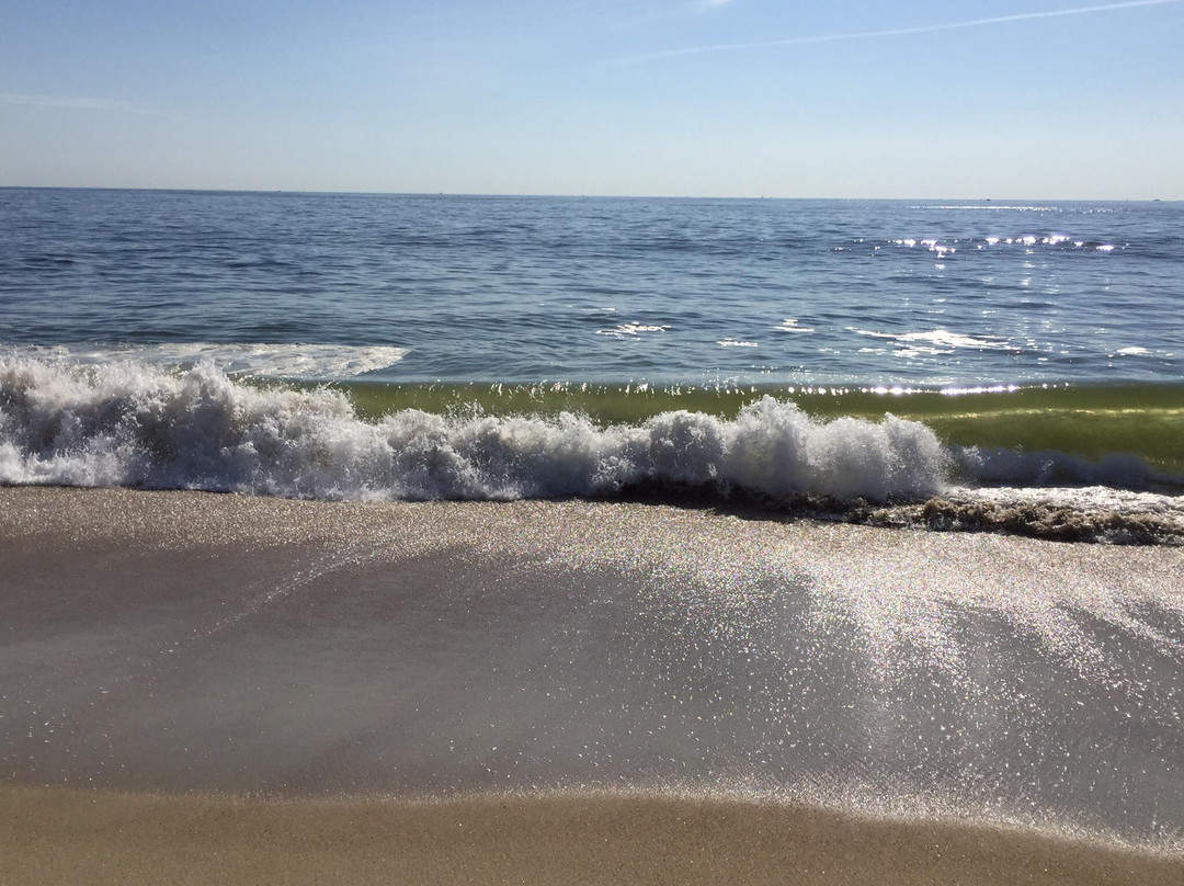 Manasquan Beach景点图片