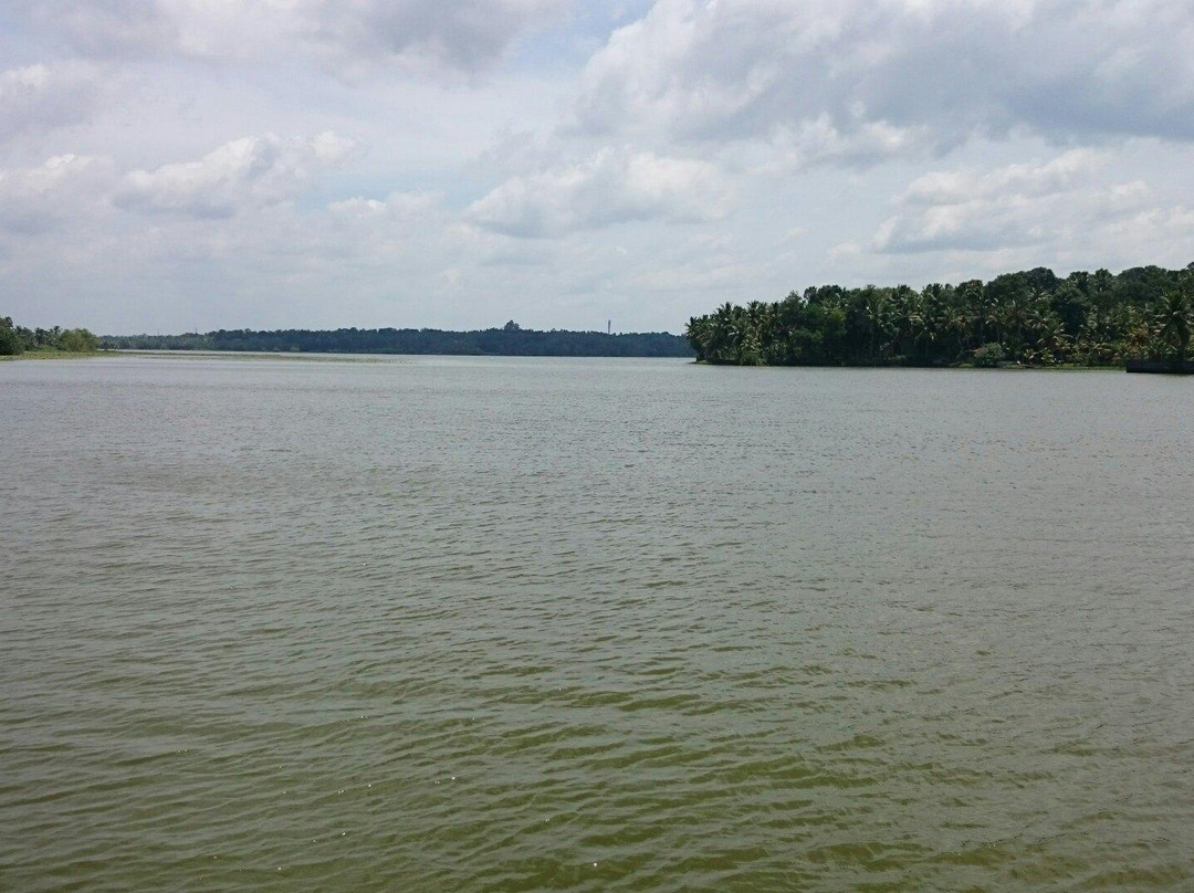 Vellayani Lake景点图片