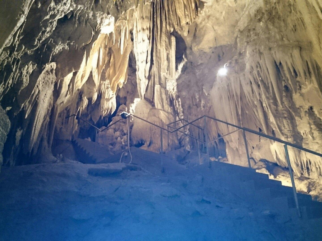 Kostanjevica Cave景点图片