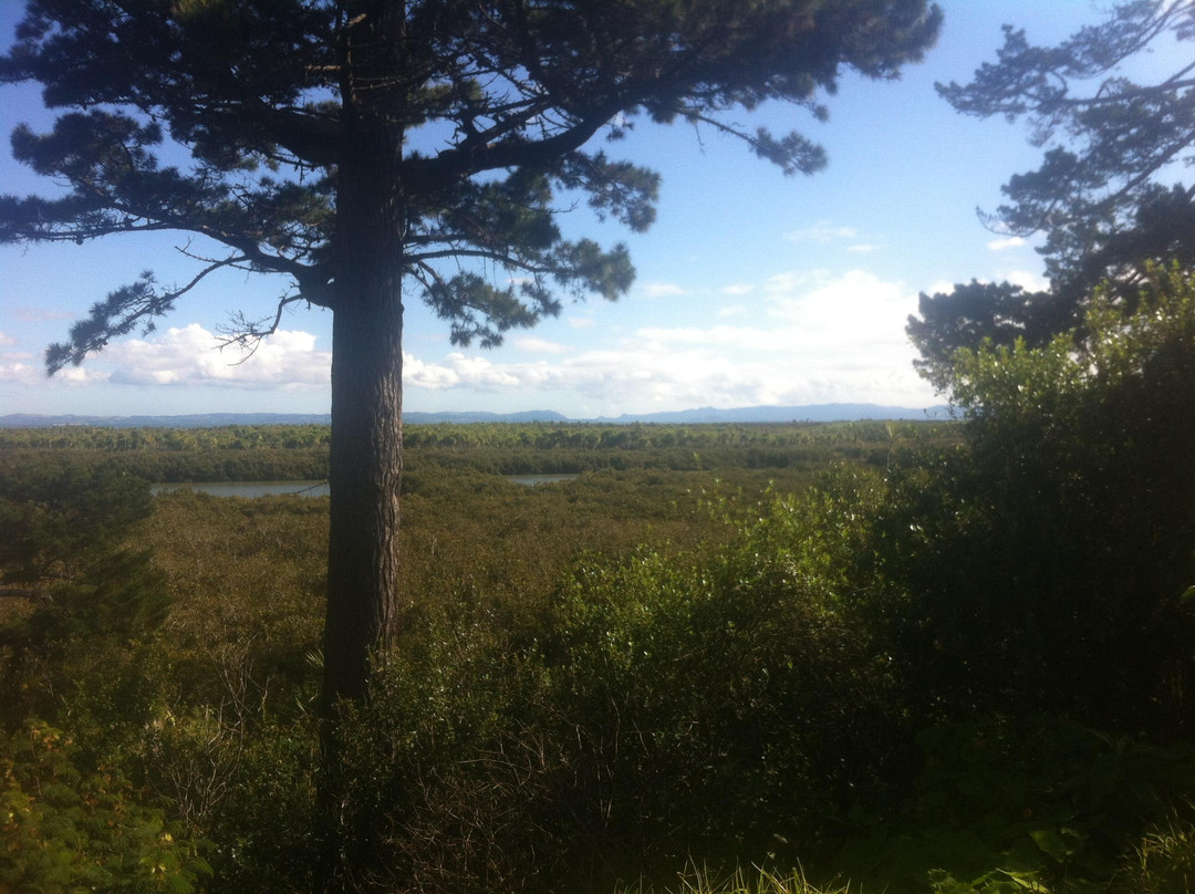 Weymouth Walkway-奥克兰中心地区必去景点