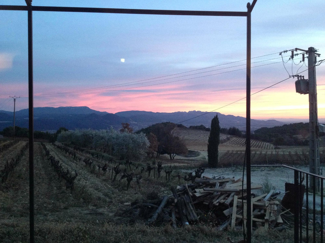 Domaine des Escaravailles景点图片