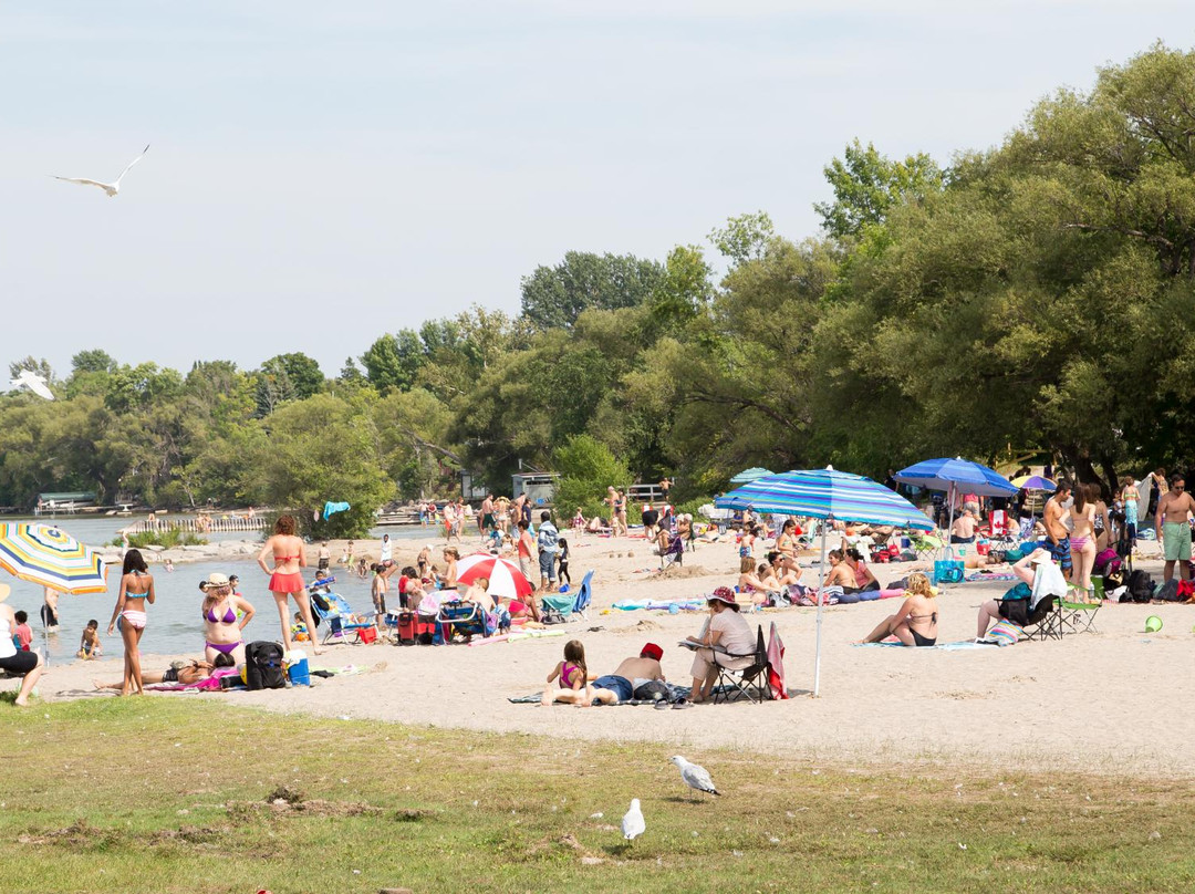 Gypsy by the Lake B&B主图