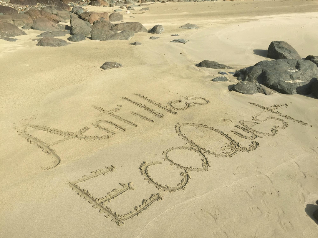 Antilles EcoQuest-Havensight必去景点