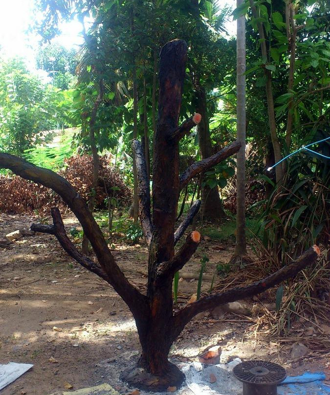 Don Renuka's Art Gallery-Waikkal必去景点