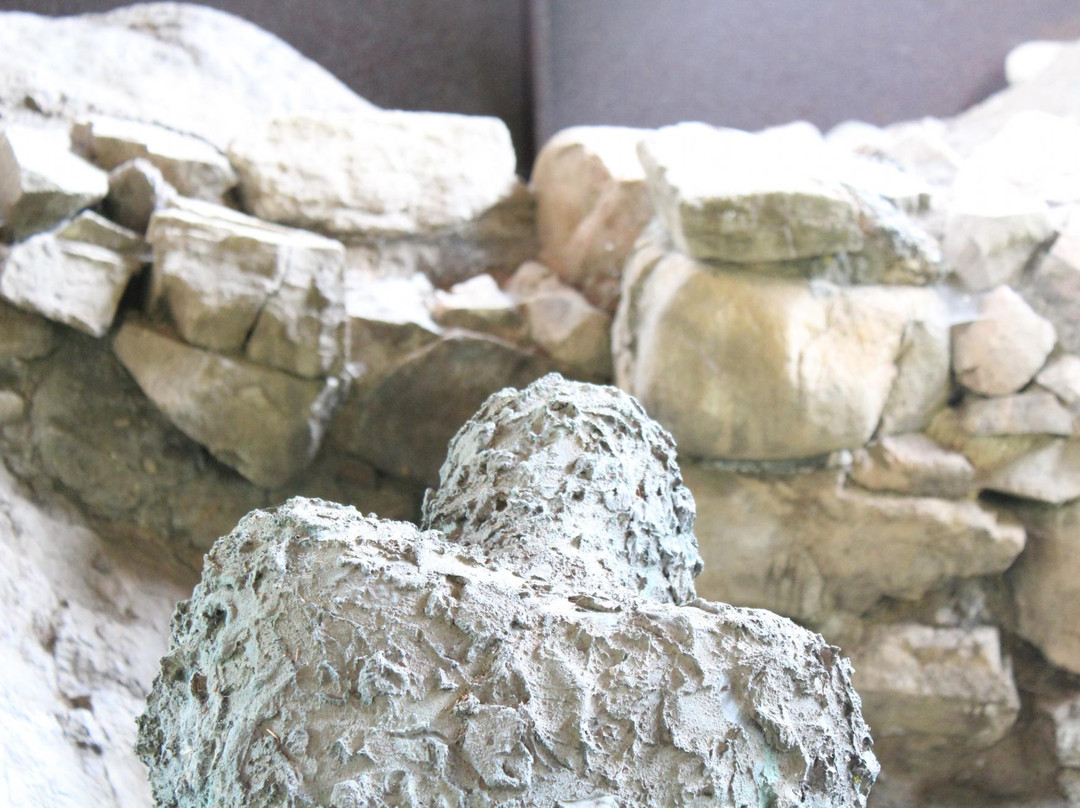 Acqua Fredda. I Forni Fusori Nella Tarda Eta Del Bronzo景点图片