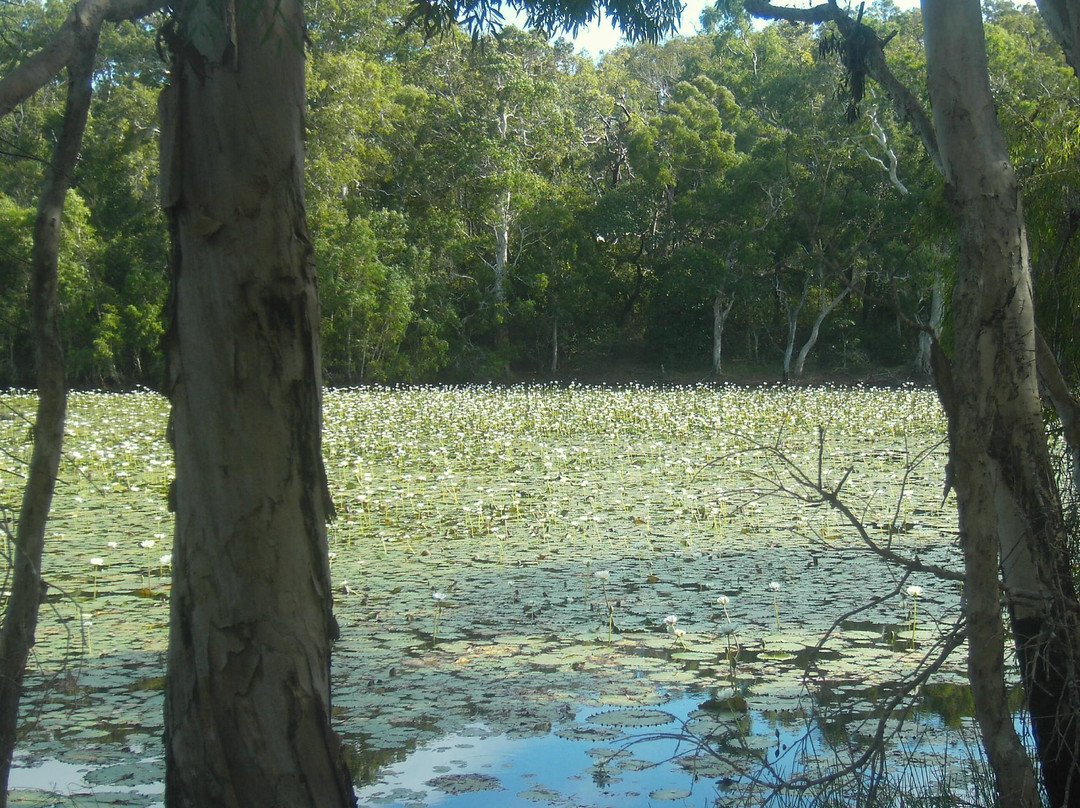 Keating's Lagoon-库克敦必去景点