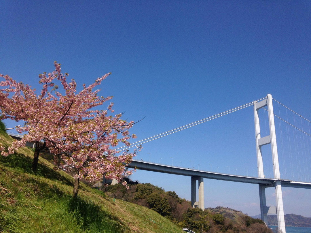 Sunrise Itoyama  Central Bicycle Rental-今治市必去景点