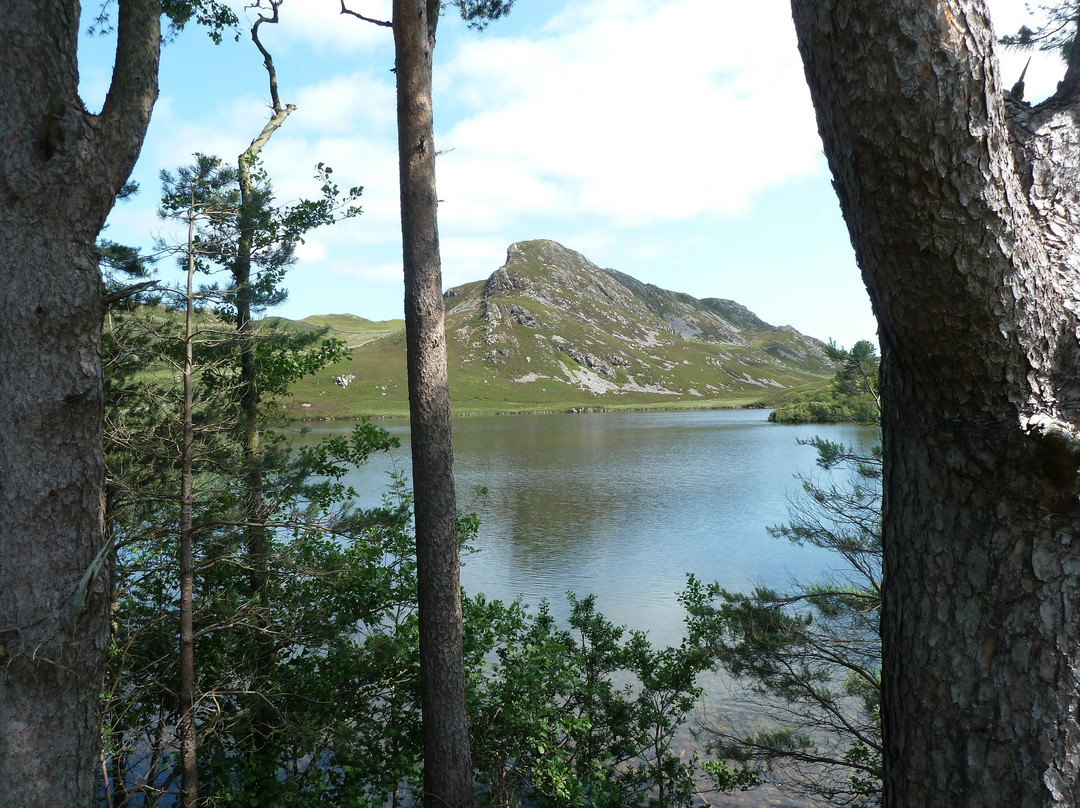 Cregennan Lakes景点图片