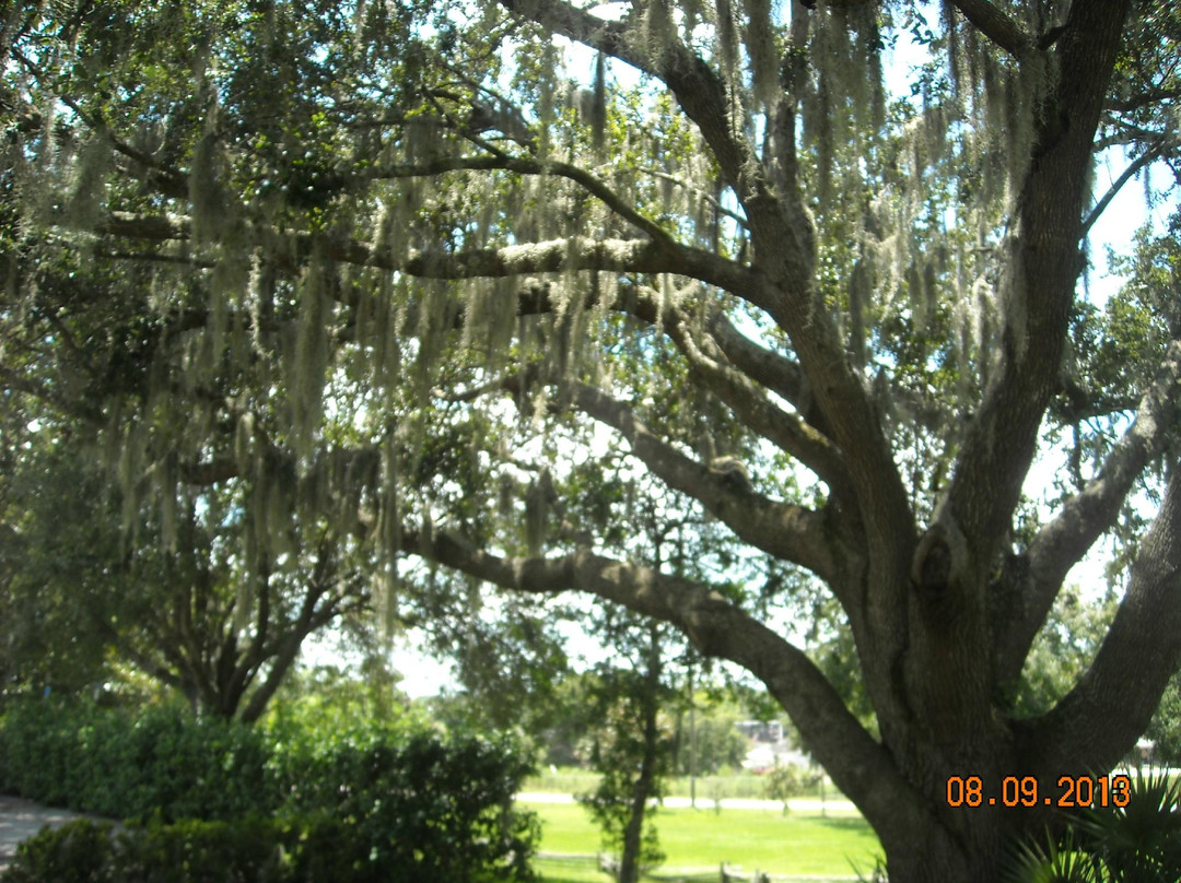 Pioneer Florida Museum & Village-Dade City必去景点