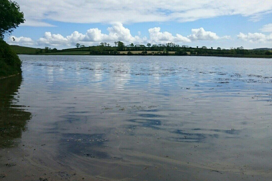 Quoile Pondage Nature Reserve景点图片