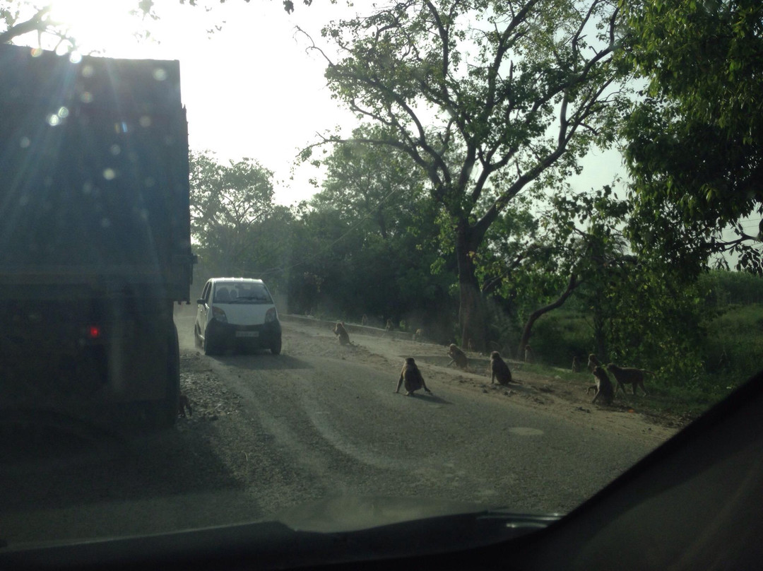 Kailash Parvat-Hastinapur必去景点