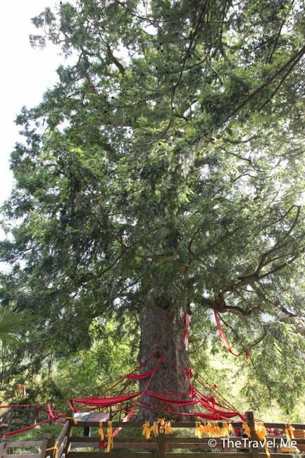 神农祭坛-神农架林区必去景点