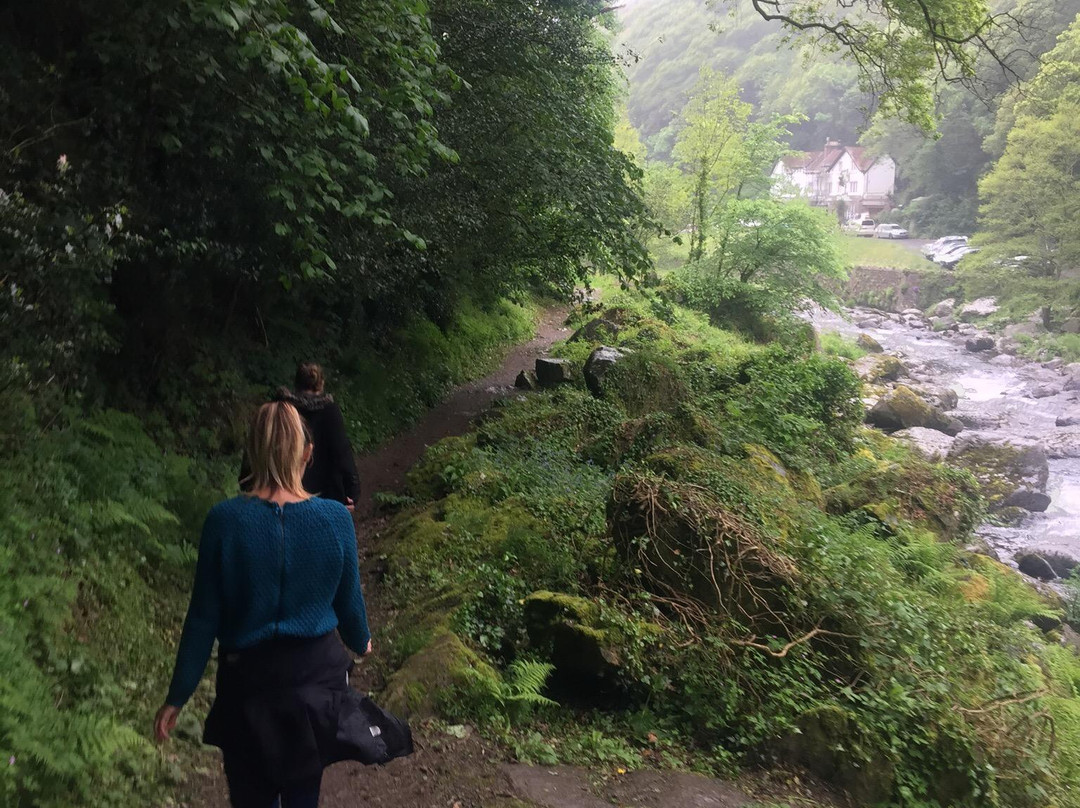 Watersmeet Trail景点图片