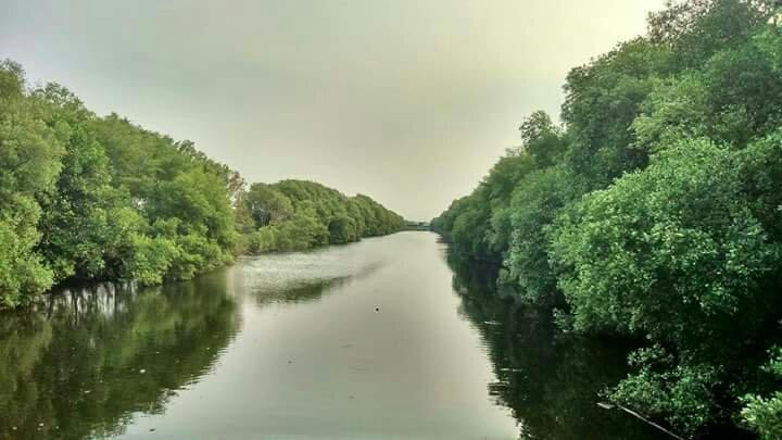 Alam Angke Kapuk Nature Park景点图片
