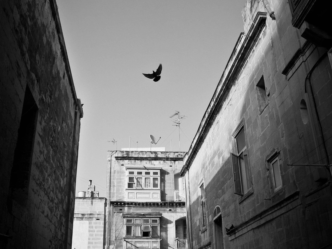 Photograph Malta景点图片