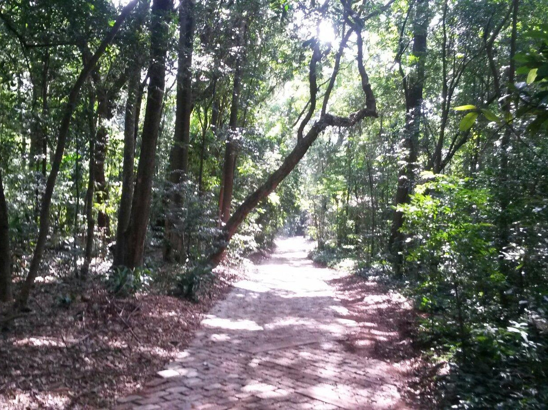 Bosque dos Italianos-坎皮纳斯必去景点