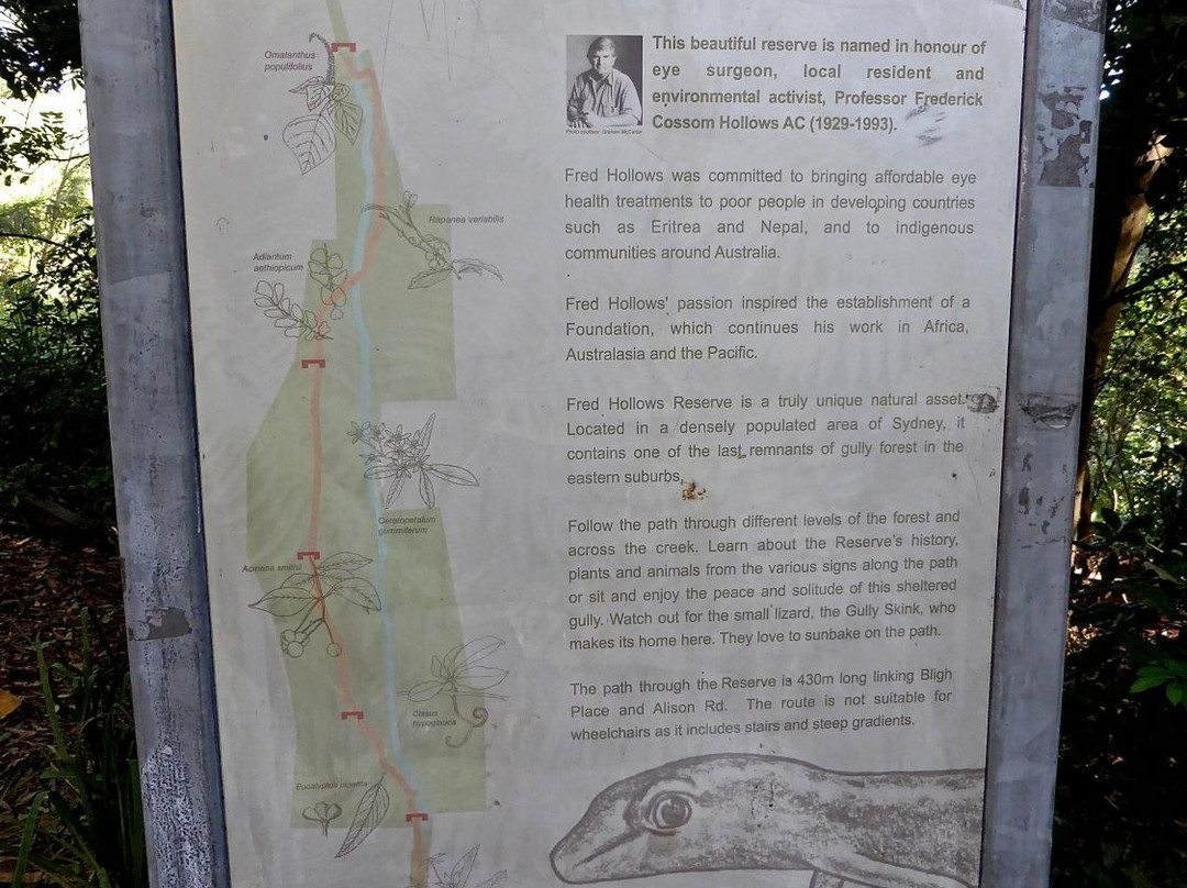 Fred Hollows Reserve-兰德威克必去景点