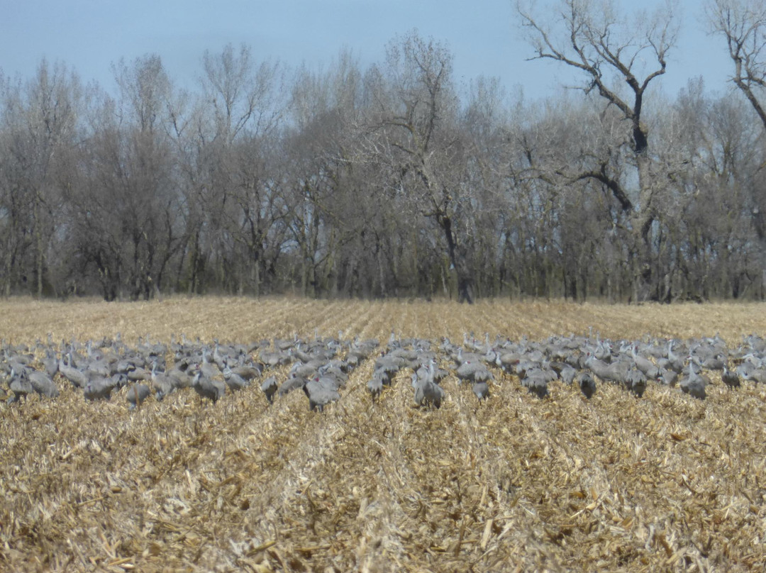 Platte River-格兰德岛必去景点