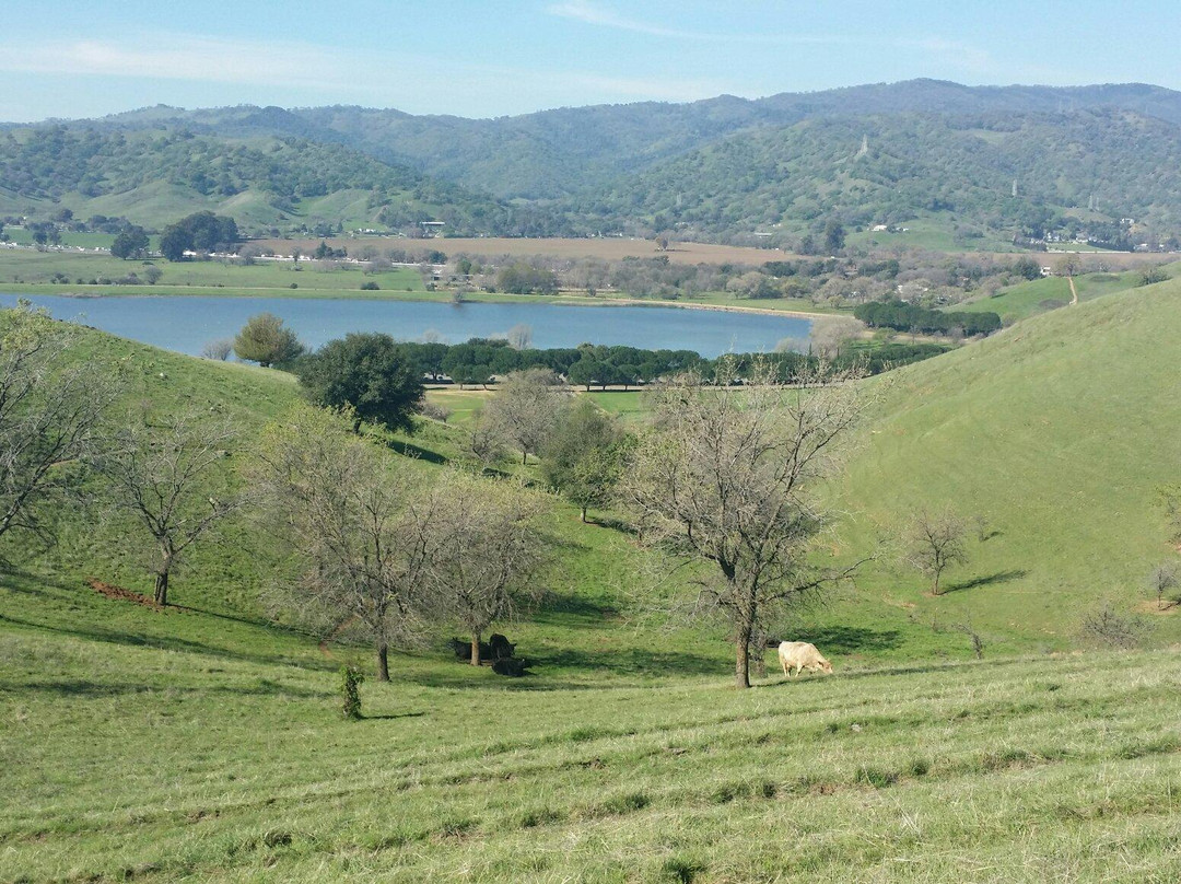 Lagoon Valley/Pena Adobe Regional Park-瓦卡维尔必去景点