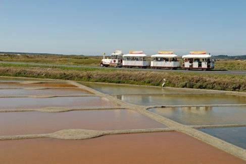 Le Petit Train des Marais Salants-La Turballe必去景点