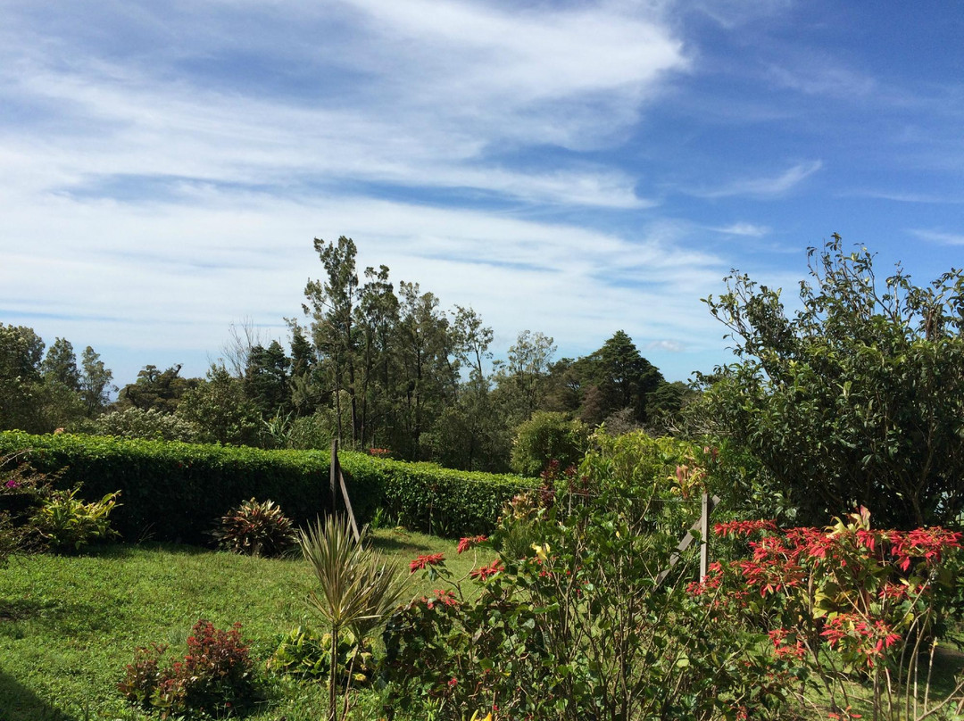 Casa Campo Verde主图